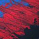 Contemporary abstract artwork in blue, red,black, yelow on stretched canvas