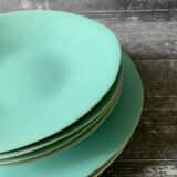 Jars Garden Plates of Maguelone artichoke