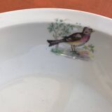 Old dish Decor Beaks and Feathers Pillivuyt France Deposited