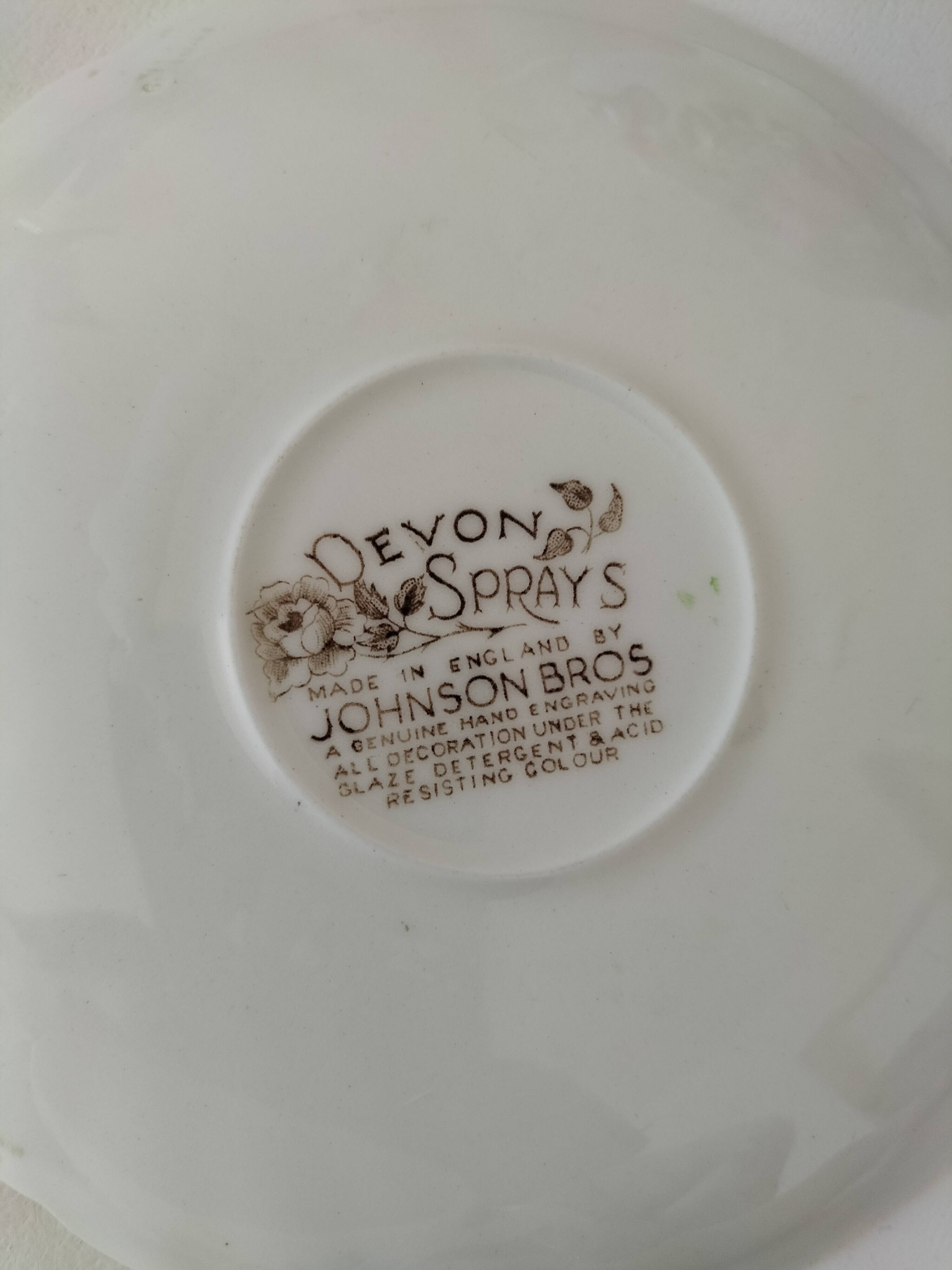 Vintage Johnson Brothers "Devon Sprays" set.