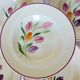 5 assiettes creuses de Longchamp modèle Tulipes 210747