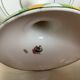 Lanternier Limoges art deco shower base dish