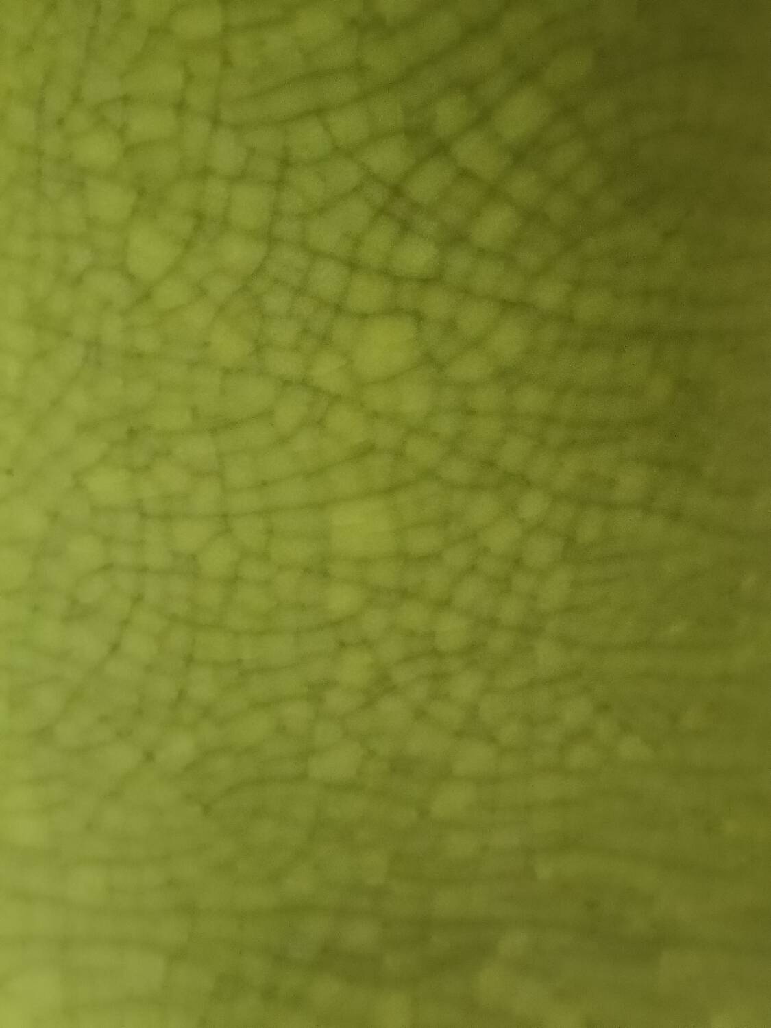 Baluster vase in Chinese porcelain