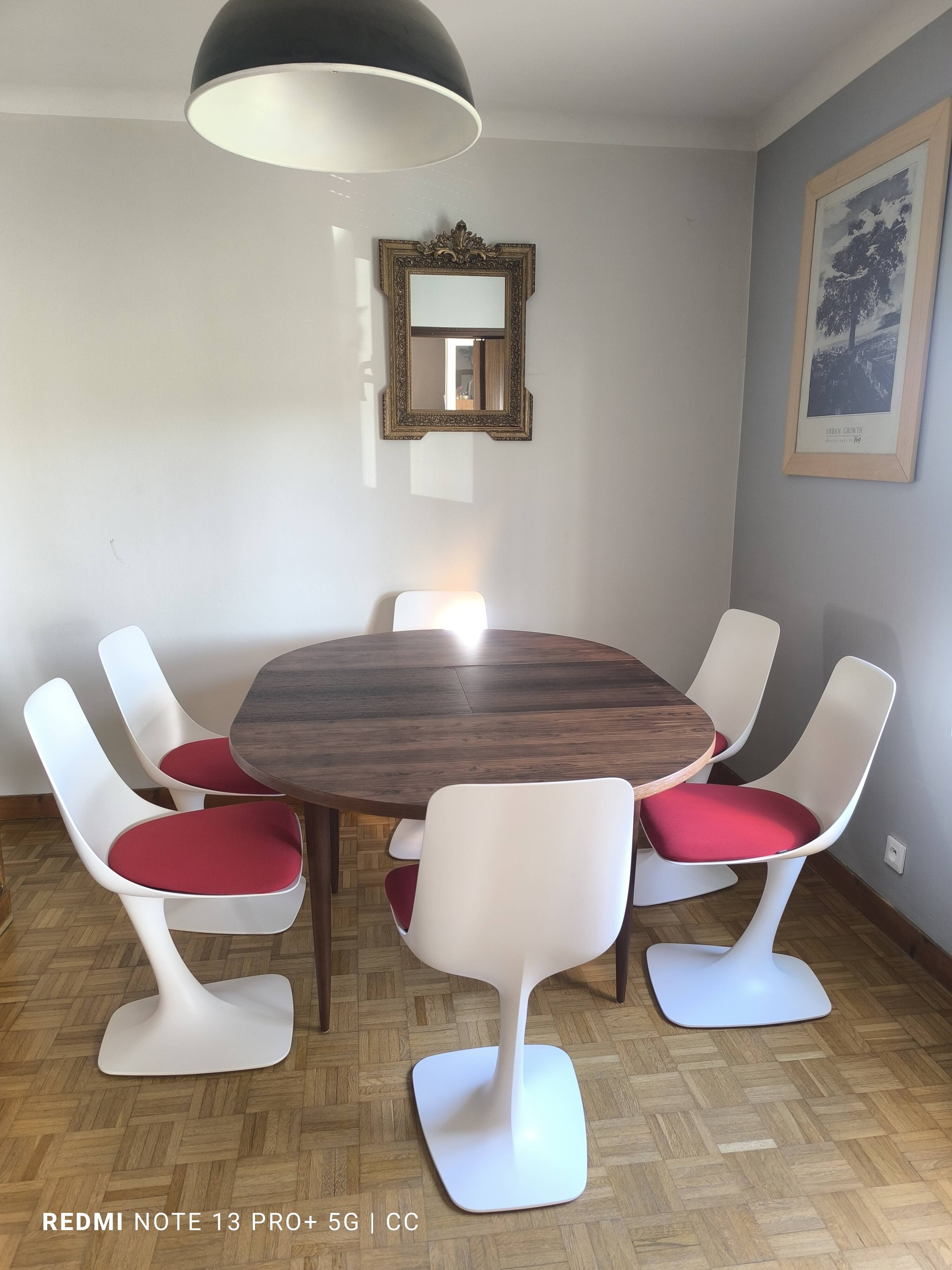 Roche Bobois Arum Chairs