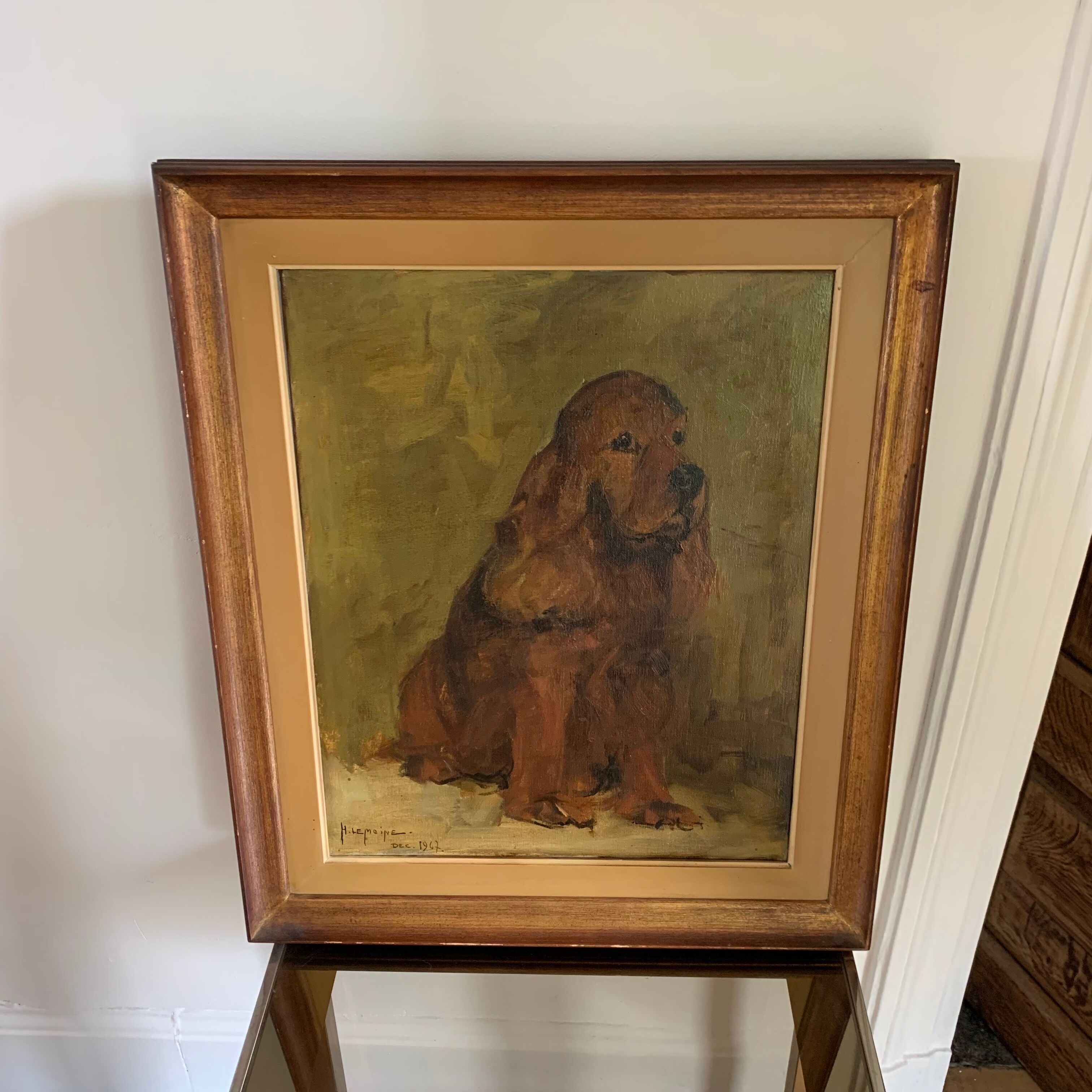 Portrait of a cocker spaniel dog