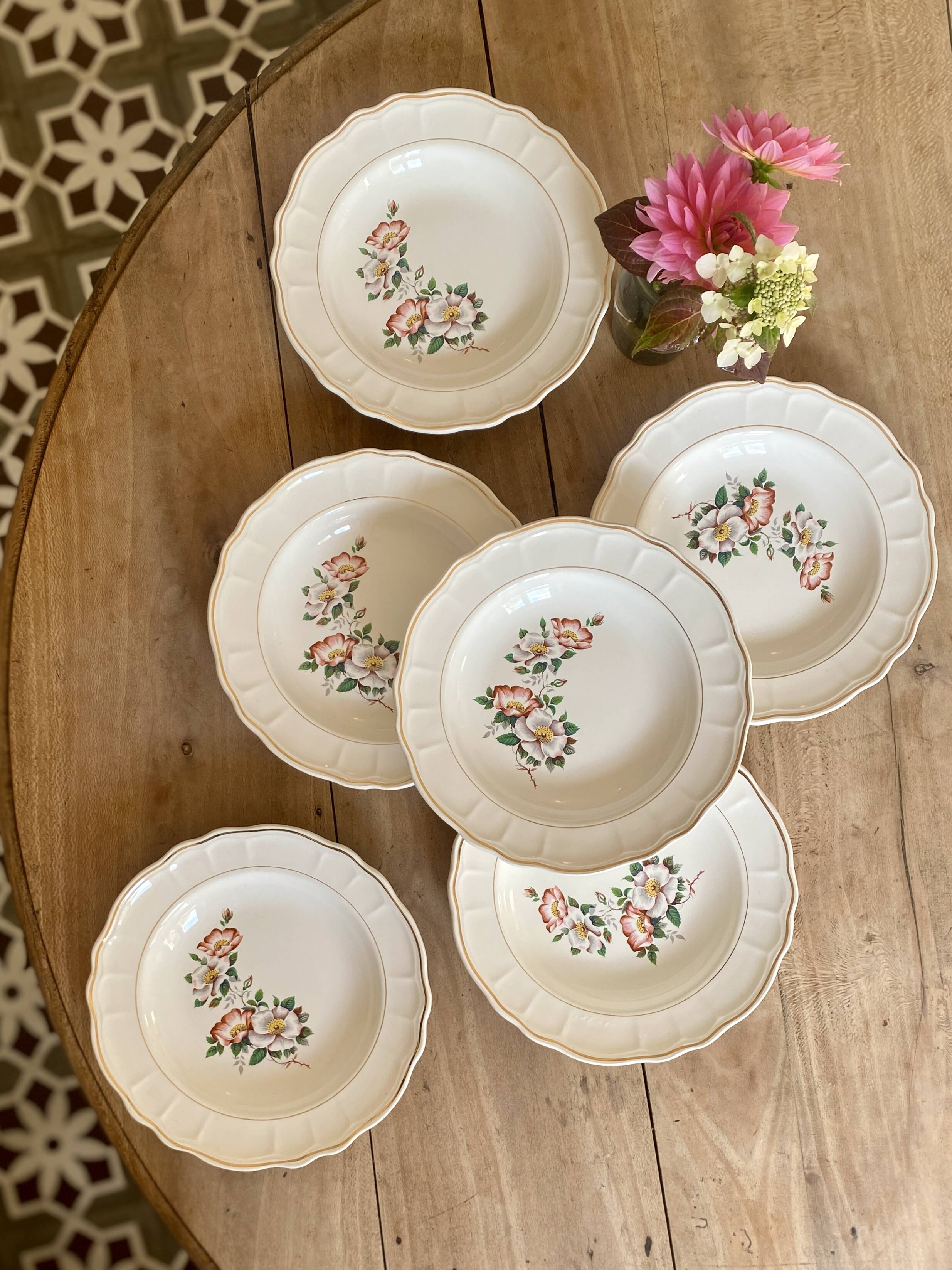 Set of 6 vintage Salins soup plates