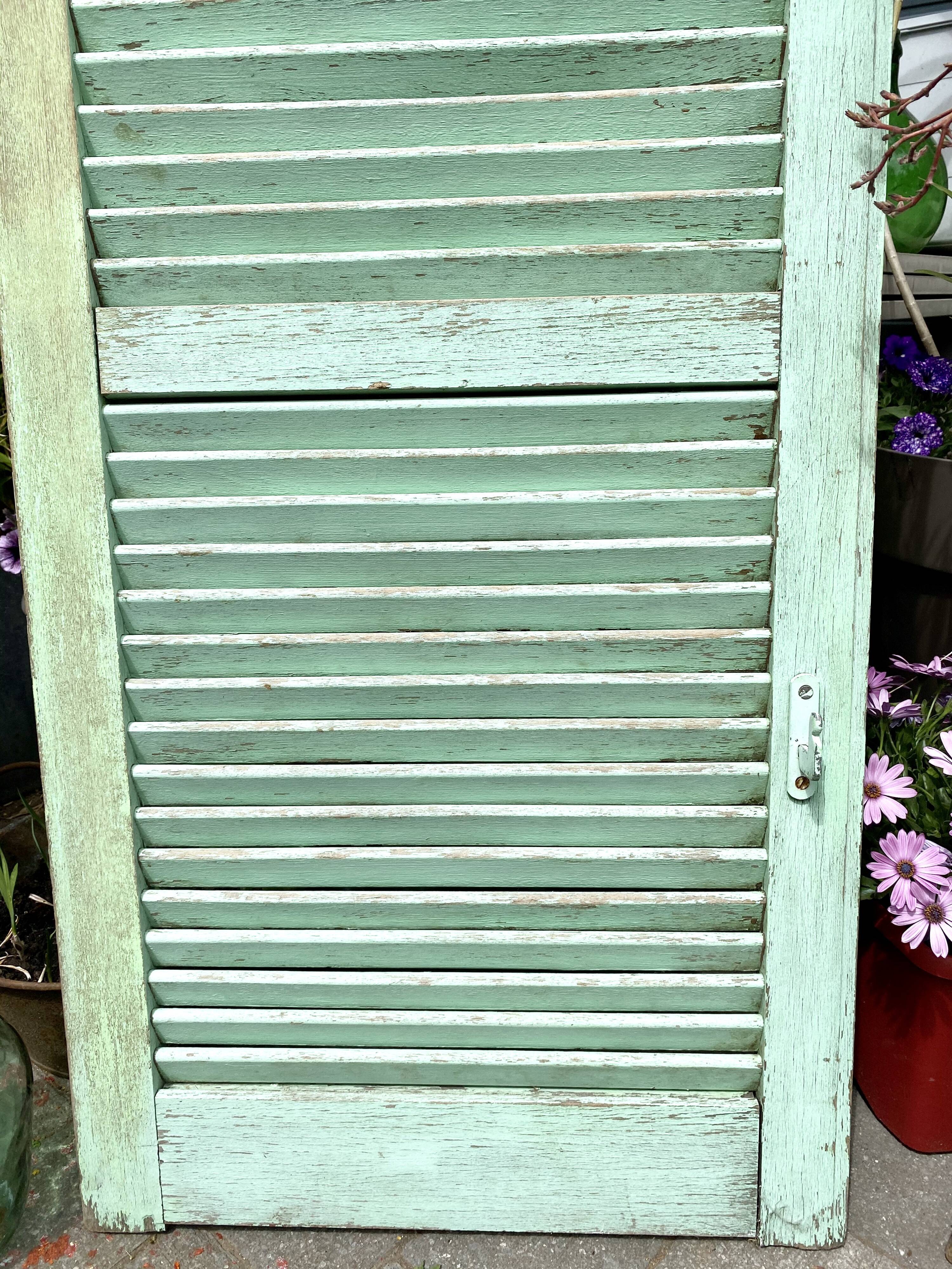 Ancient persian-coloured wood-wood mint