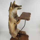 Stuffed Taxidermy Fox Stuffed