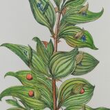 Botanical board