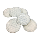 A series of 12 dinner plates Salins 1950