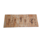 Vallauris herbarium coffee table by Roger Capron