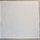 Vintage hand-embroidered napkins with daisies - linen voile - 52x52 cm