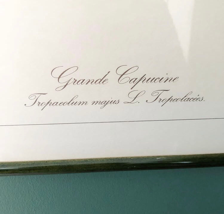 Vintage frame lithograph flowers