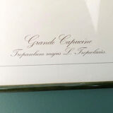 Vintage frame lithograph flowers