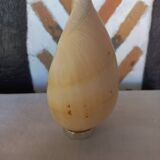 Melo Diadema shell mounted on base