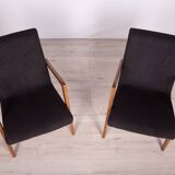 Type 300-138 Beech Armchairs from Bystrzyckie Furniture Factory, 1960s, Set of 2