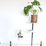 Glass coffee table, display, Dakora Nantes, 1950