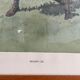 Original lithograph AB Frost "Brassy Lie"