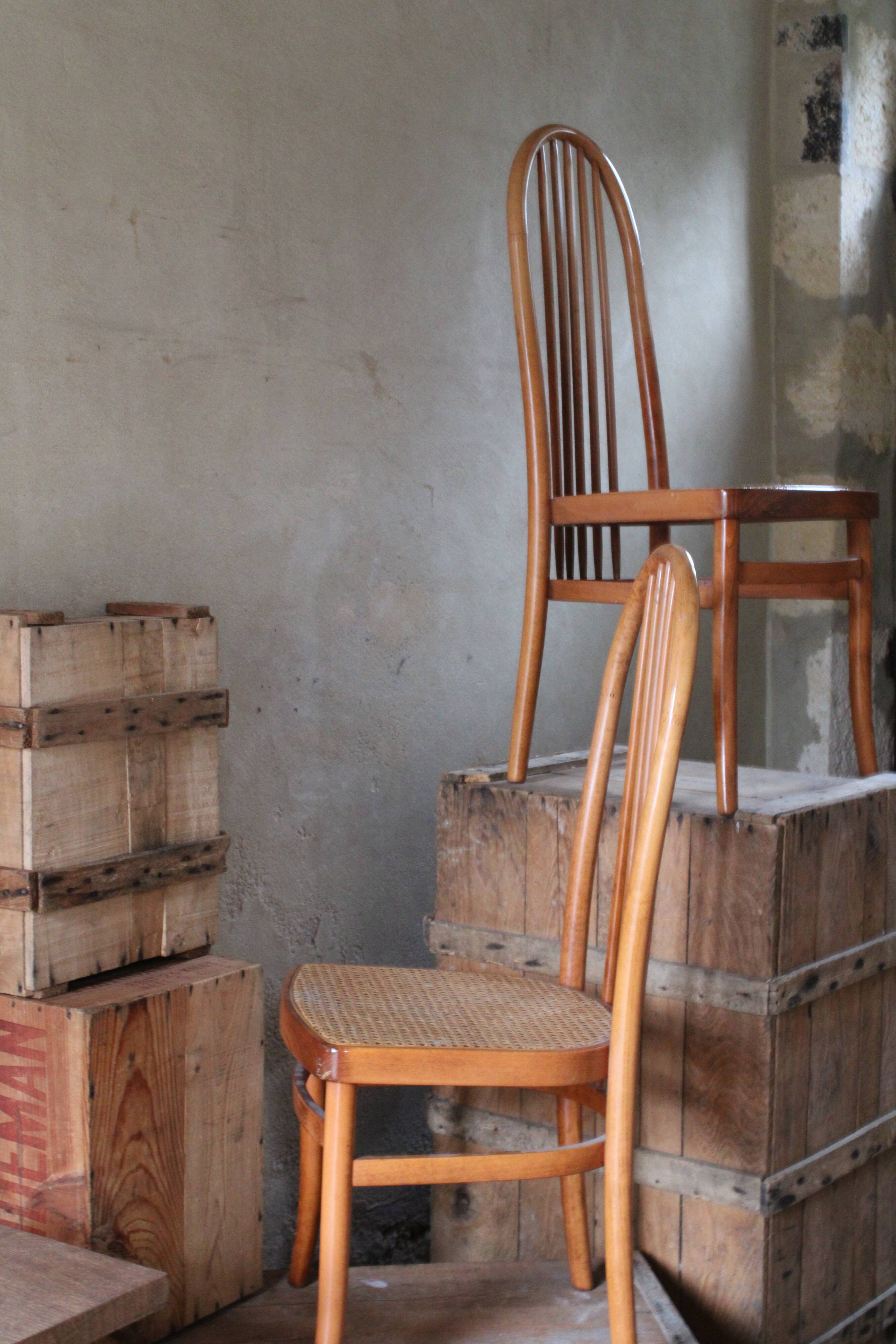 Baumman chairs model eden