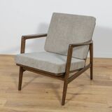 Model 300-139 Armchair from Swarzędz Factory, Poland, 1960s