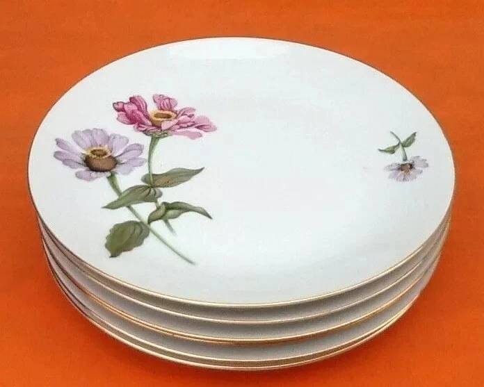 6 flat plates Fine Bohemian porcelain Floral decoration on a white background