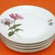 6 flat plates Fine Bohemian porcelain Floral decoration on a white background