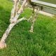 Banc de jardin avec pieds en fonte ancien
