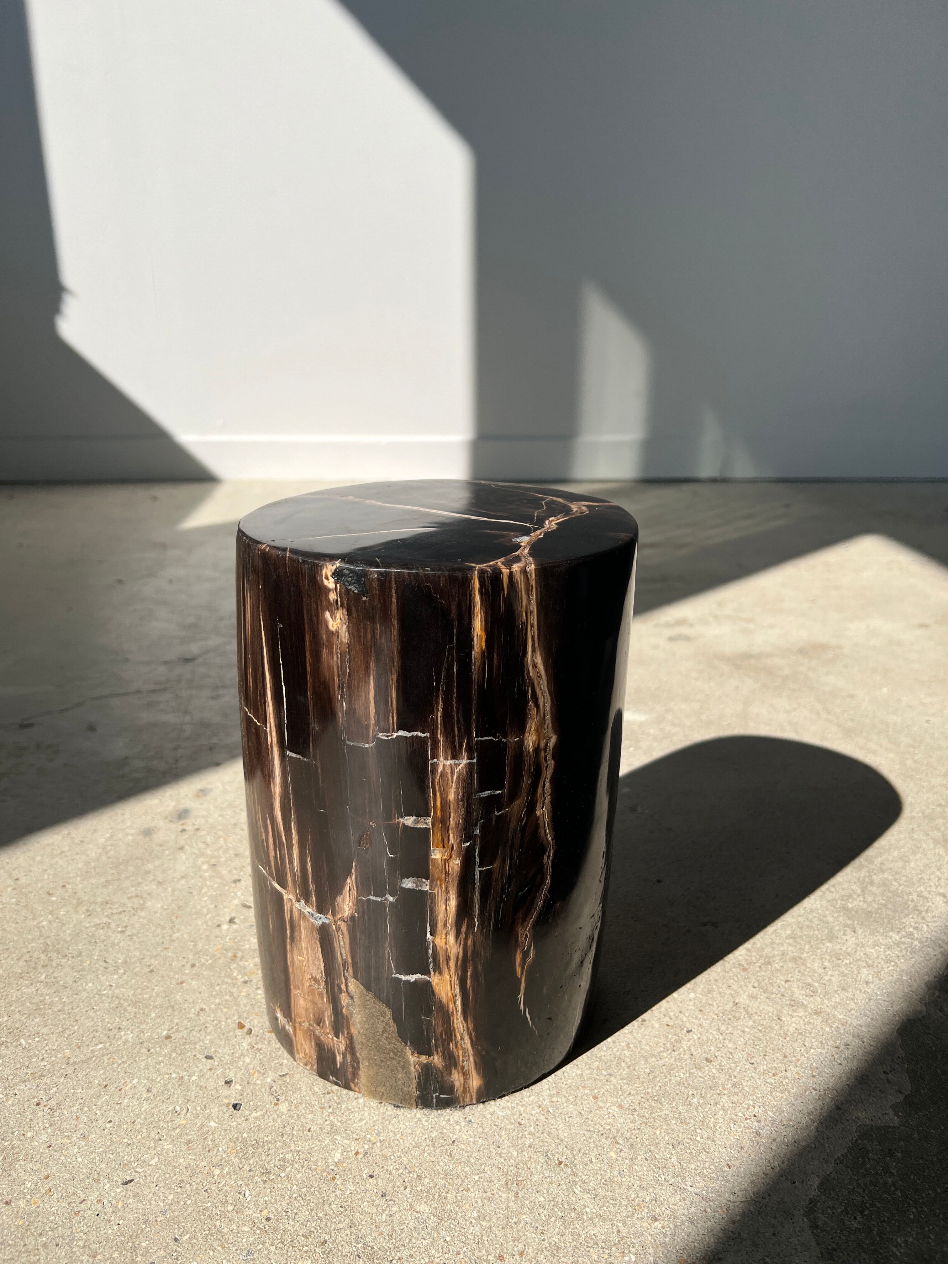 Side table in black petrified wood with light streaks h: 27,5cm d:18,5cm