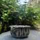 Silver fruit bowl with dragonflies Art Nouveau