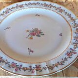 Dish
