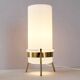 Paire de lampes vintage 1950 Parscot