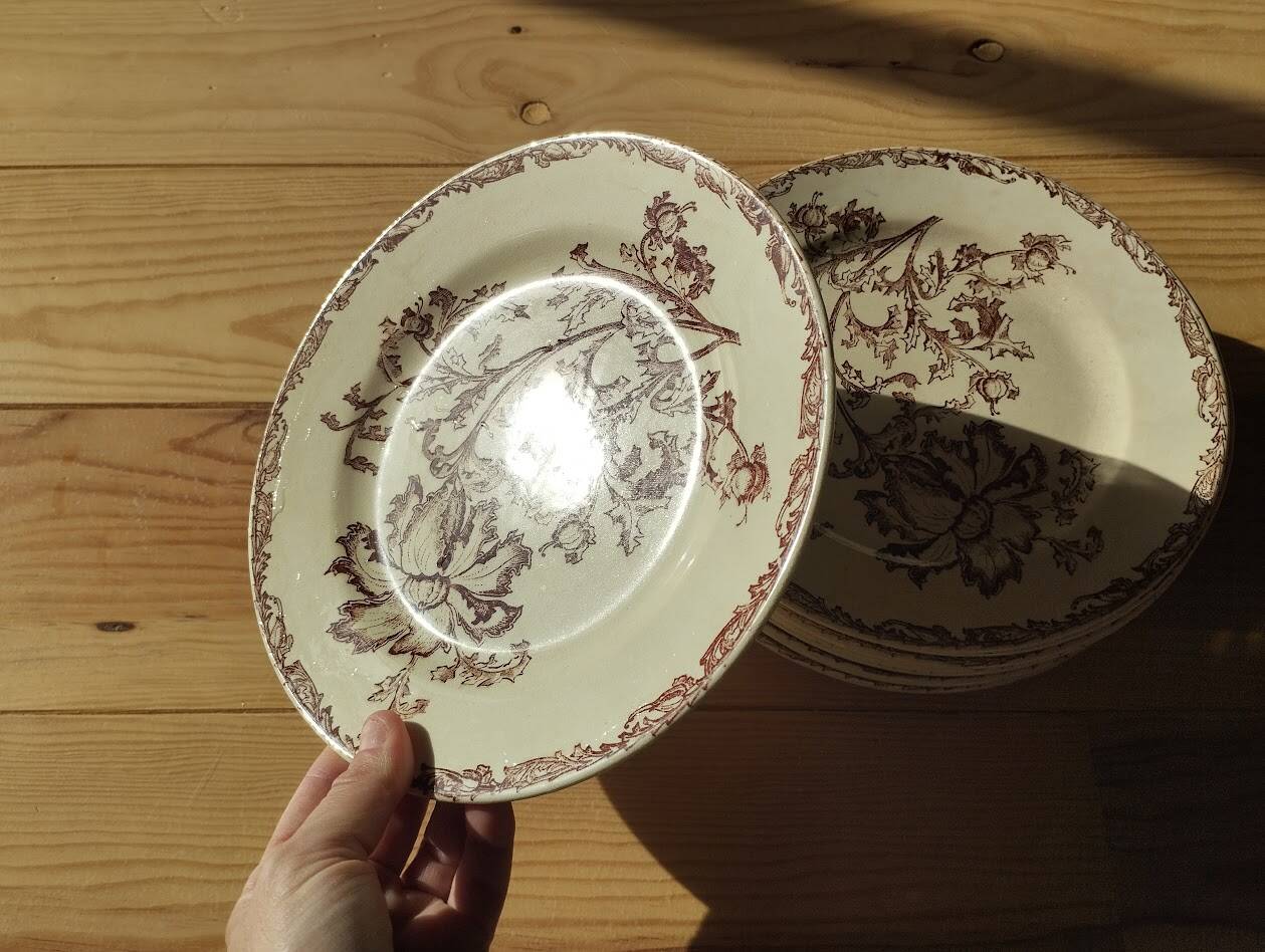 Datura plates iron earth