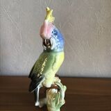 Parrot German Porcelain Decoration