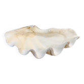 grand Vide-poche coquillage bénitier Tridacne  naturel vintage  années 70