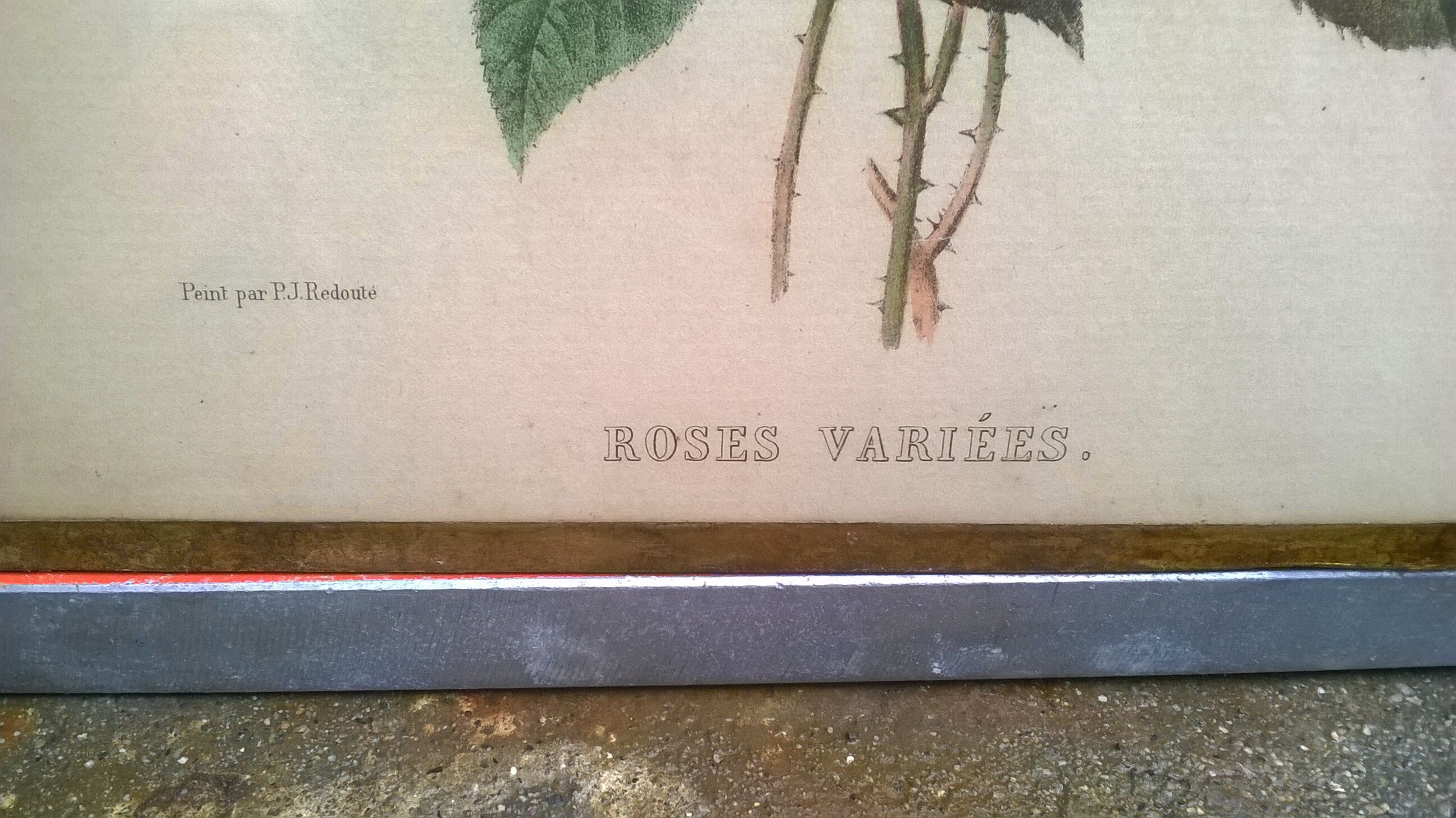 Pair of frames "with bouquets of flowers"