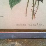 Paire de cadres "aux bouquets de fleurs"