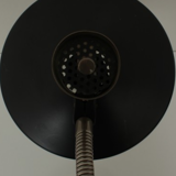SIS desk lamp with swan collar