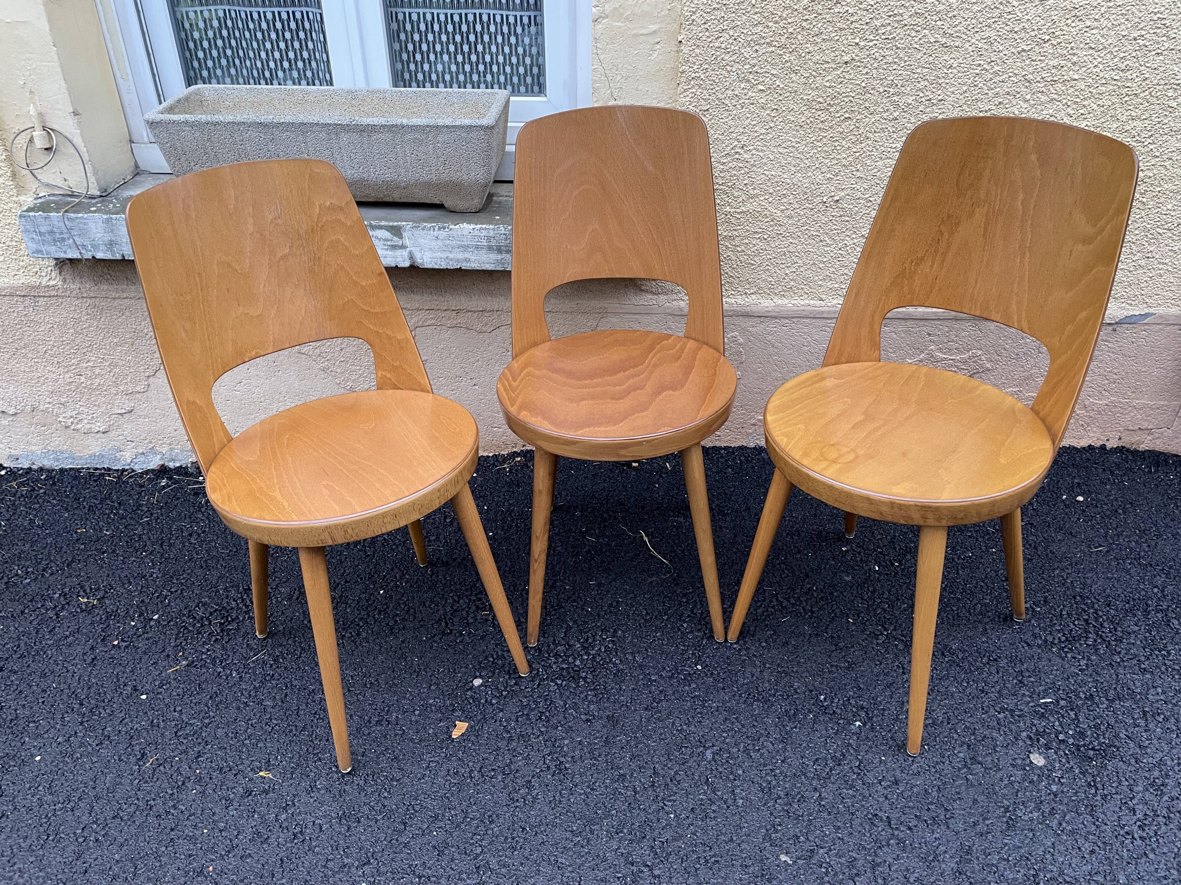 Baumann chairs "mondor"