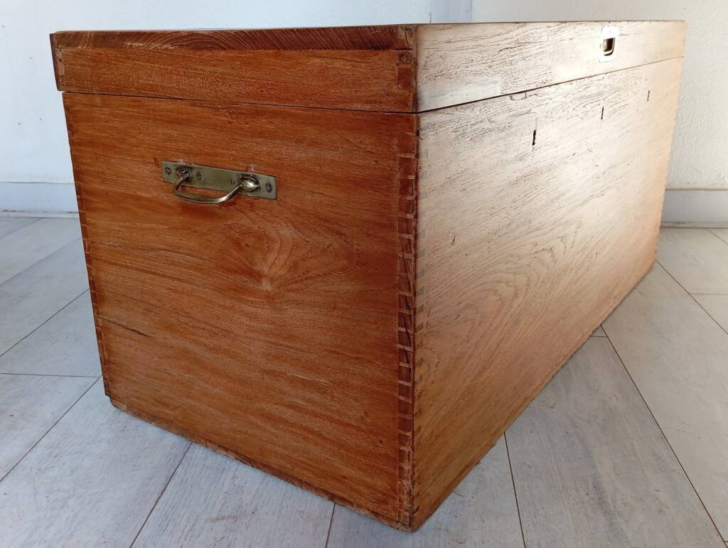 Malle marine en camphrier, XIXème