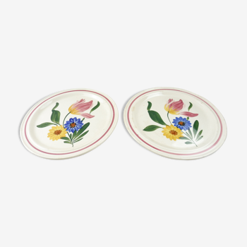 Lot of 2 plates with footouche décor Selestat, Schlettstadt, from Sarreguemines