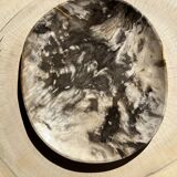 Very large empty pocket or dish in petrified wood