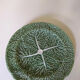 Barbotine feuille de chou