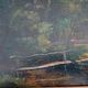 Oil painting on panel, Giuseppe Hainmann (Milan 1828-Alexandria, Egypt 1883)