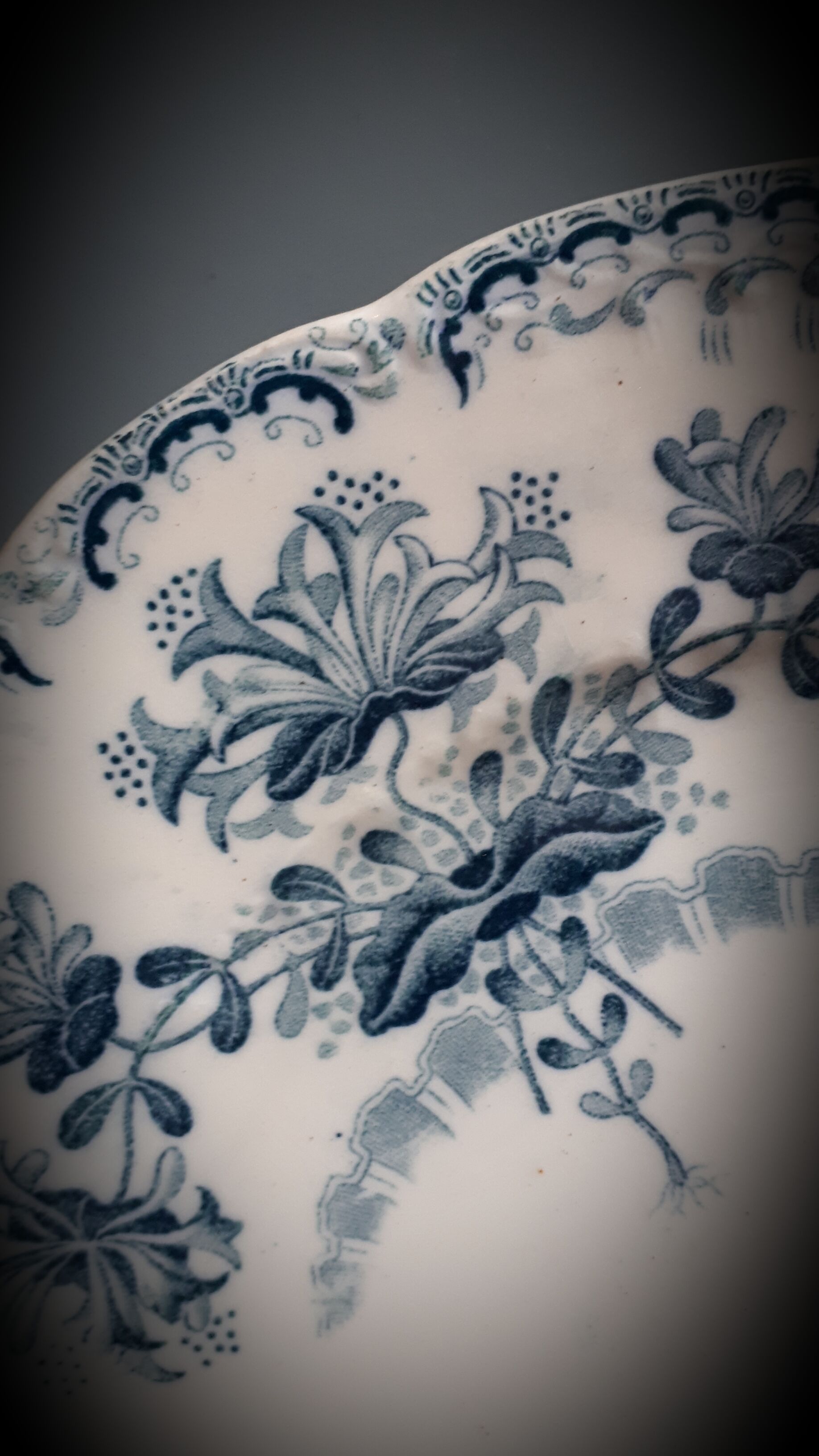 Set 6 hollow plates regency