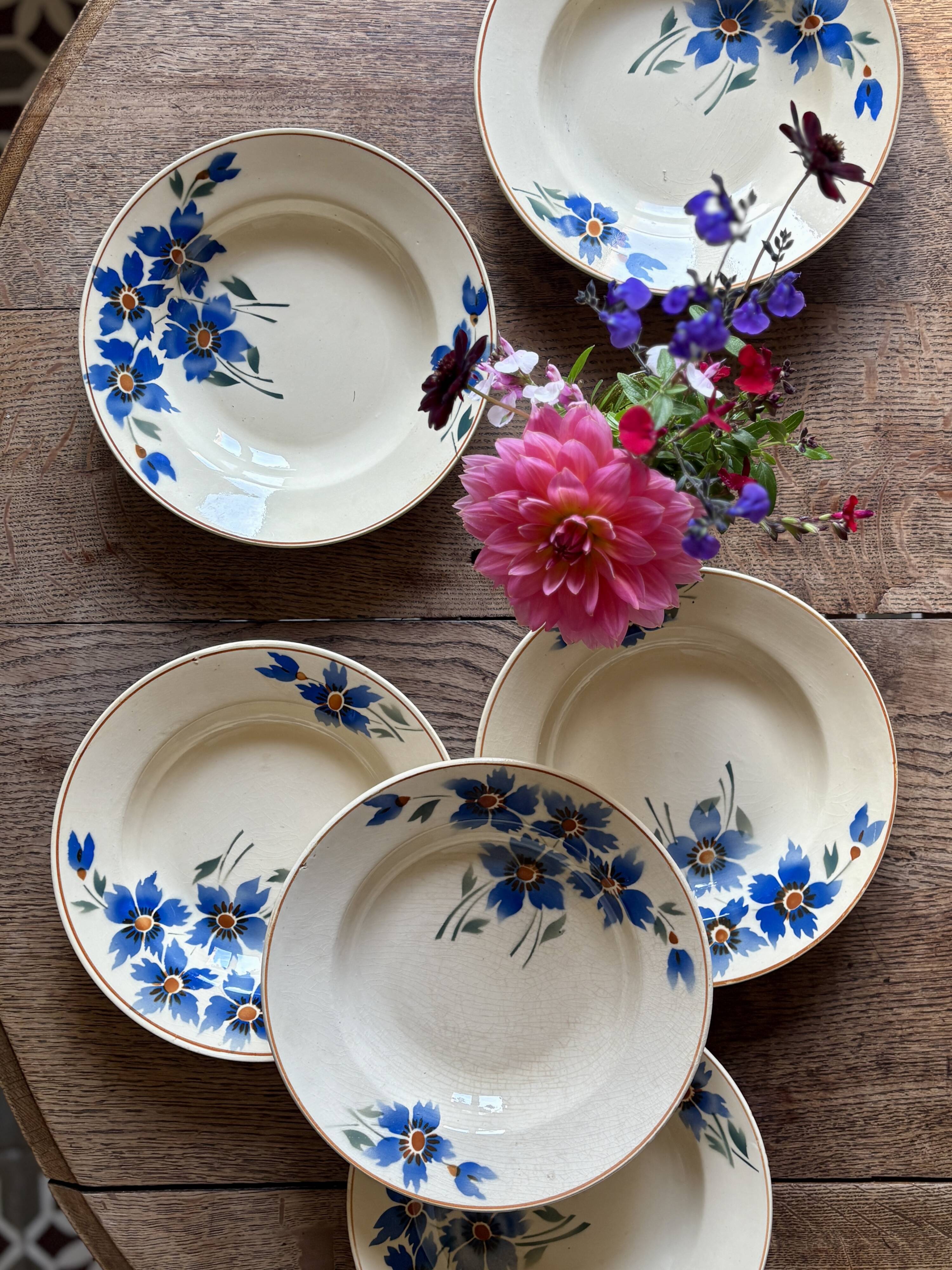Set of 6 old-fashioned soup plates with blueberry decorations