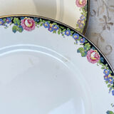 7 opaque porcelain dinner plates Digoin floral pattern 3984