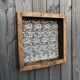 Tamis ancien en bois “dentelle”