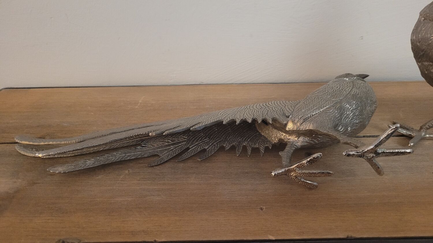 Couple of pheasant roosters