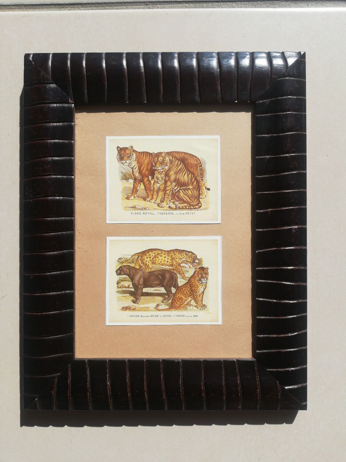 Reproductions vintage images epinal tigers, panthers under frame