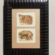 Reproductions vintage images epinal tigers, panthers under frame